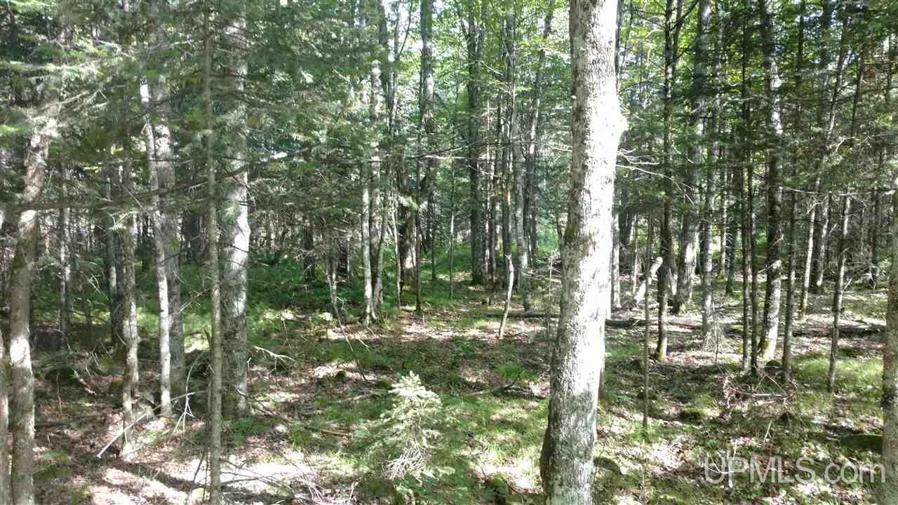 1-ac Ponozzo Road Iron River, MI 49935 - Photo 9 of 9 Gallery Image 9
