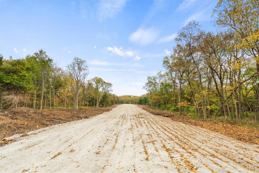 Lot 9 Snyder Road Pleasant Hill, MO 64080 - Photo 19 of 29