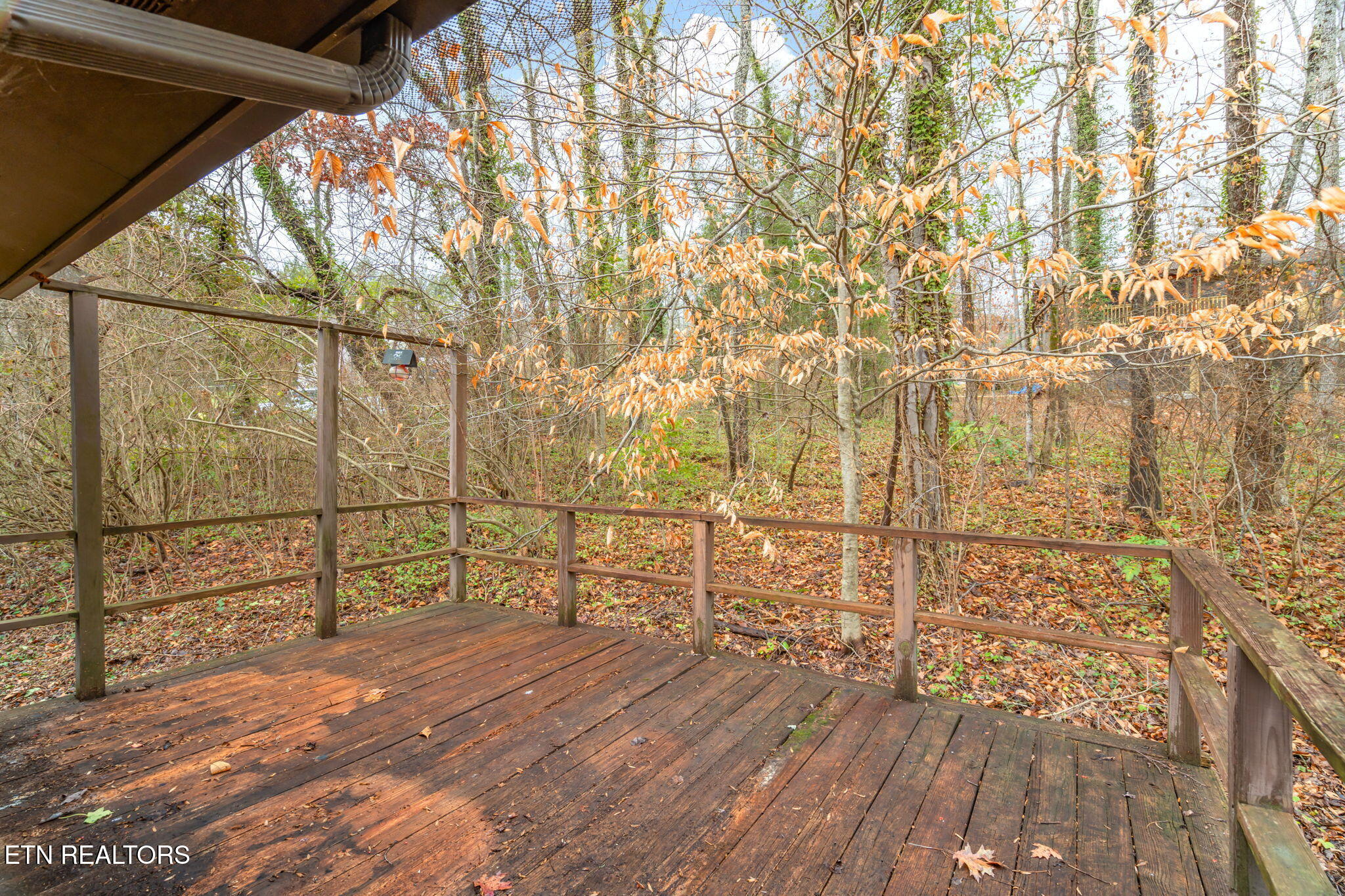 103 Norway Lane Oak Ridge, TN 37830 - Photo 44 of 54 45-web-or-mls-103 Norway Lane-20