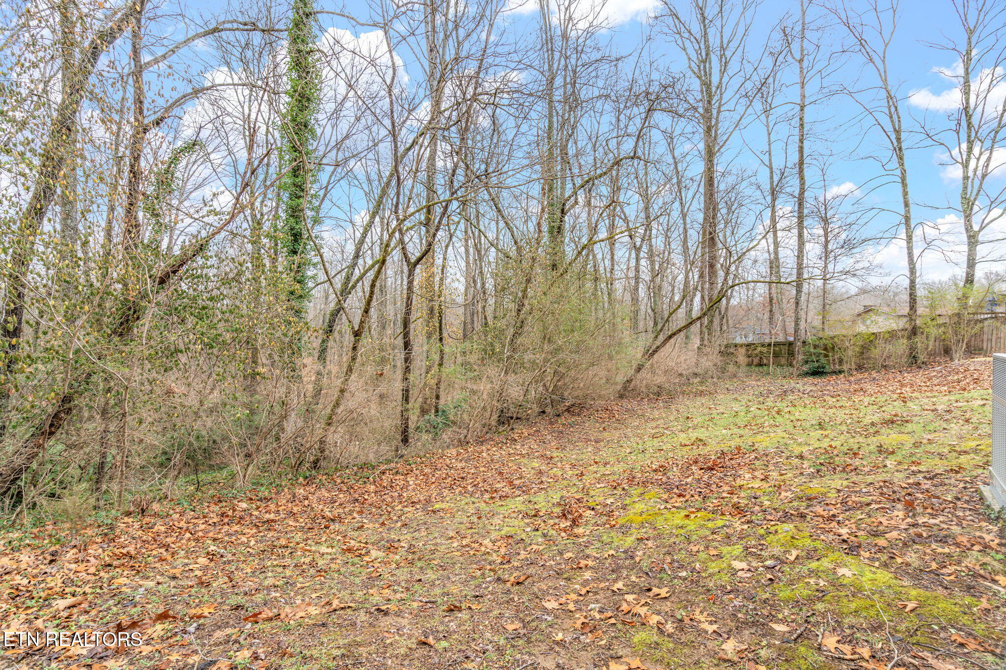 103 Norway Lane Oak Ridge, TN 37830 - Photo 45 of 54 46-web-or-mls-103 Norway Lane-37