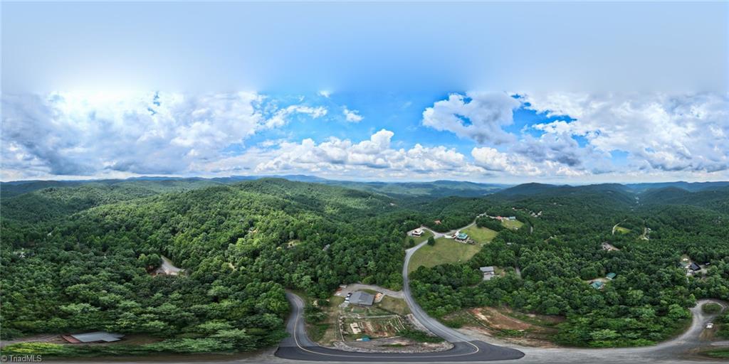 1247 Staghorn Road Purlear, NC 28665 - Photo 26 of 27