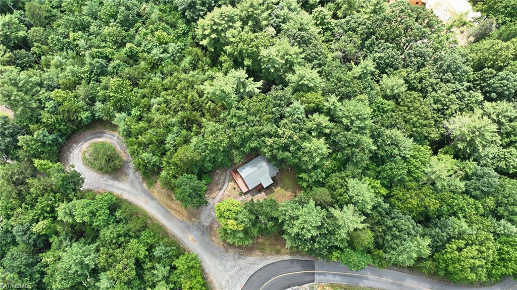 1247 Staghorn Road Purlear, NC 28665 - Photo 27 of 27