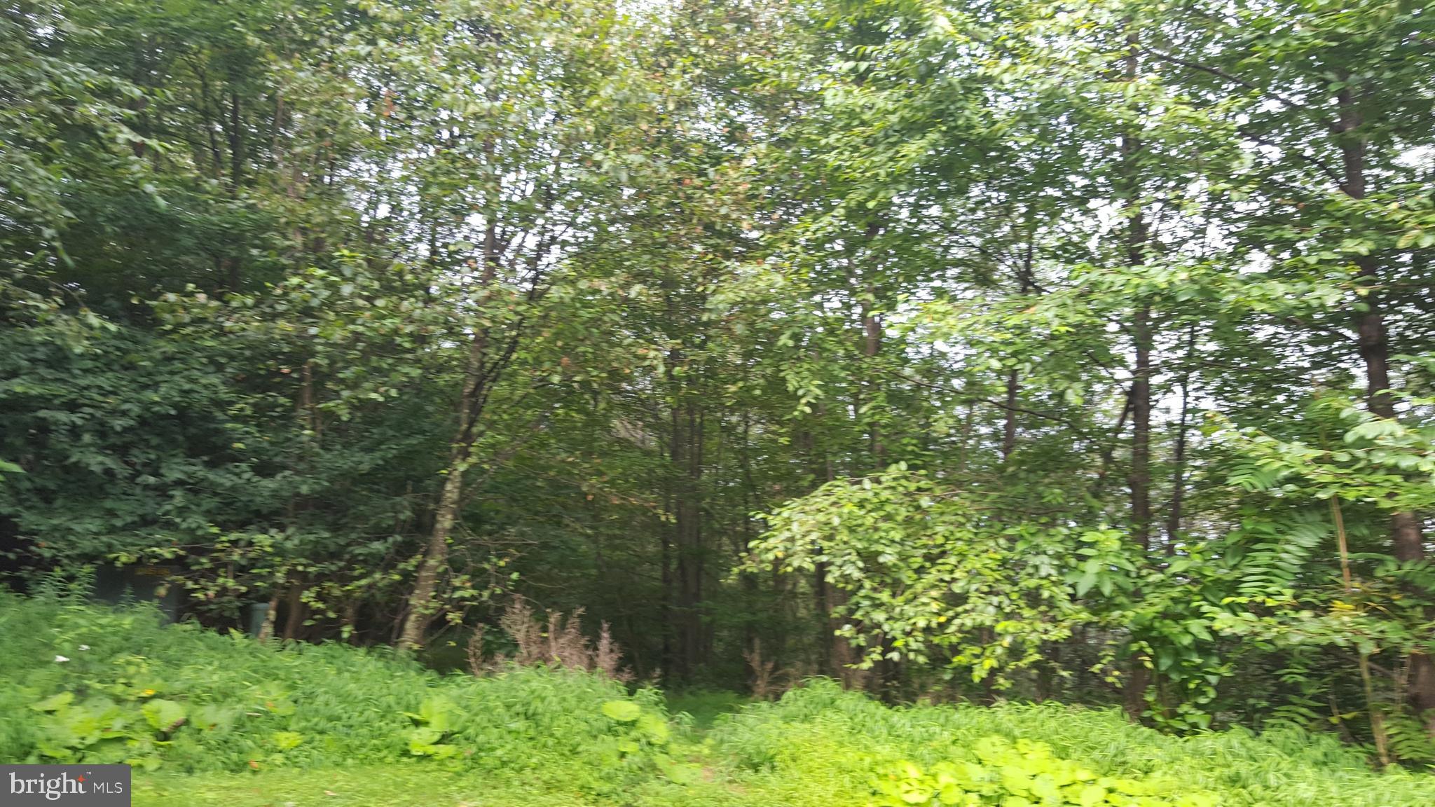 Sunset Ridge Road Oakland, MD 21550 - Photo 1 of 7 Main View of Lot