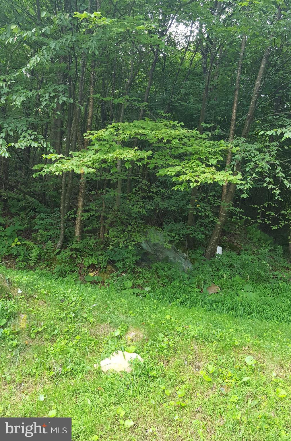 Sunset Ridge Road Oakland, MD 21550 - Photo 6 of 7 Alternate View of Lot