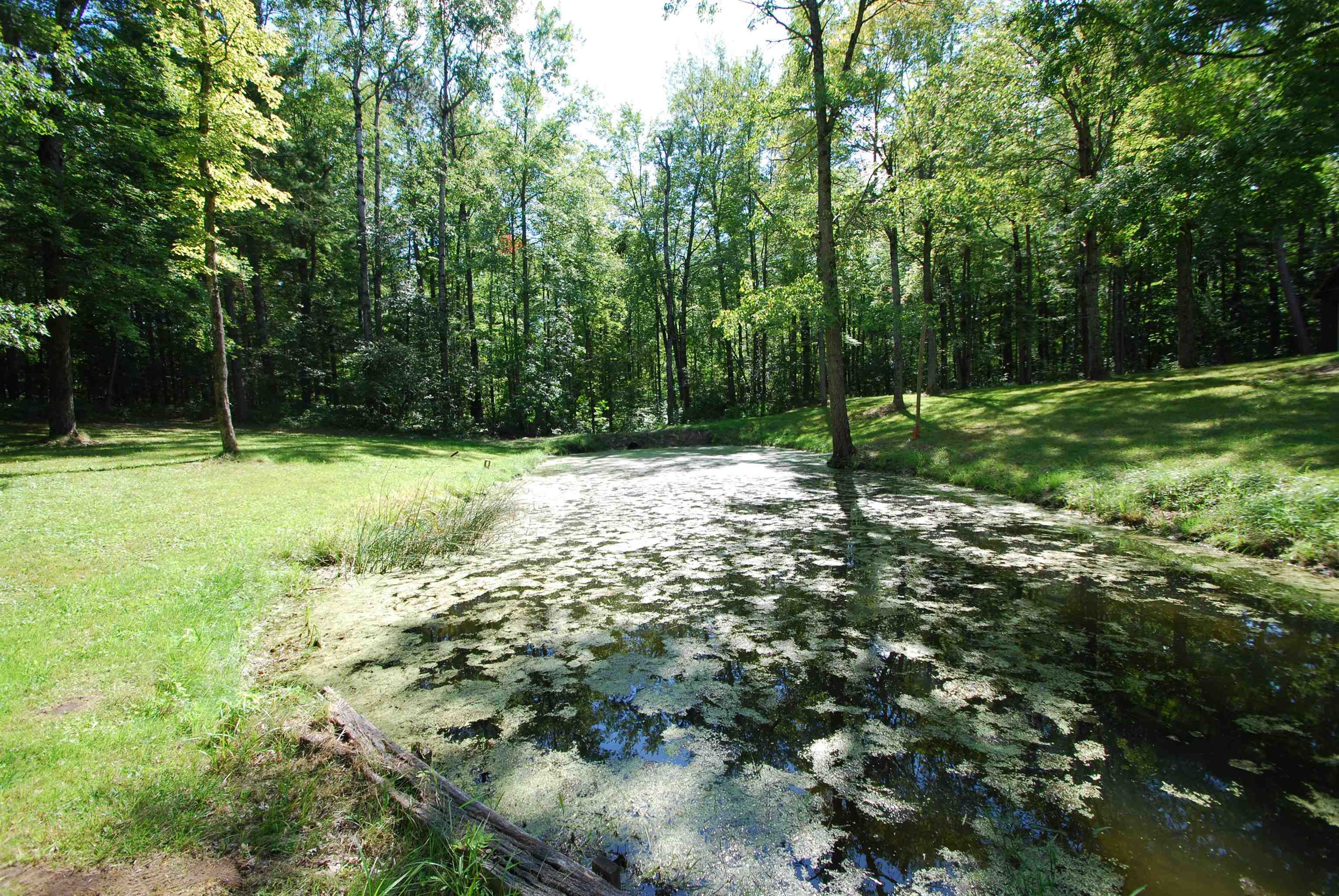 2782 River Ridge Road Alger, MI 48610 - Photo 49 of 81 1938222-8e3a0d55-3944-4f2b-a00c-5be5ff1ddf6d.JPG