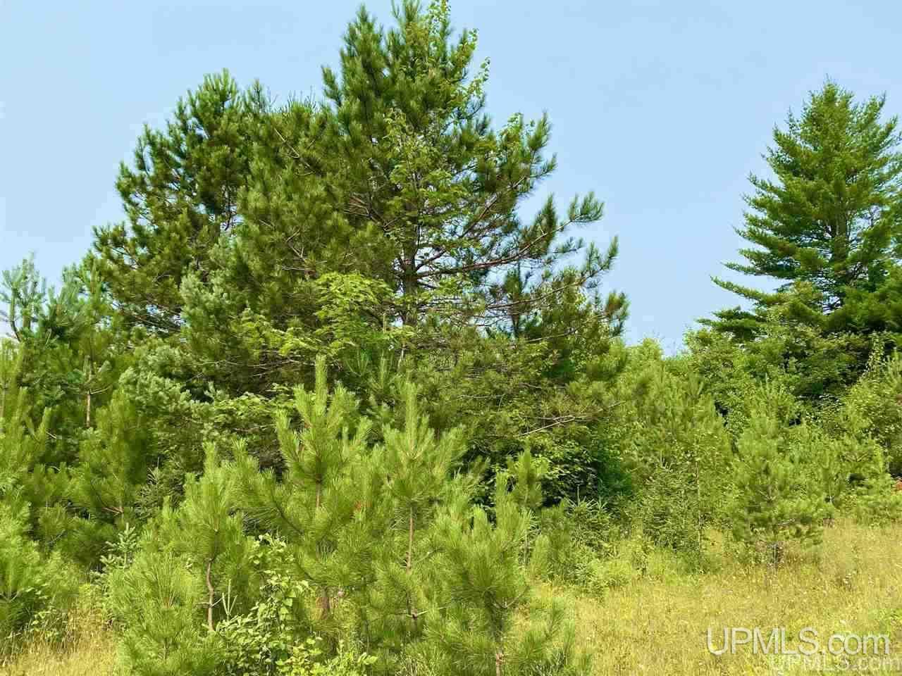 Tbd Southside Road Manistique, MI 49854 - Photo 4 of 36 Gallery Image 4