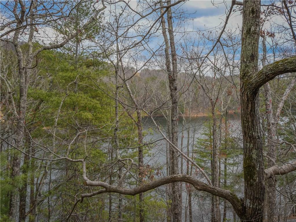 5 Chestnut Rise Trail Big Canoe, GA 30143 - Photo 1 of 1 Gallery Image 1