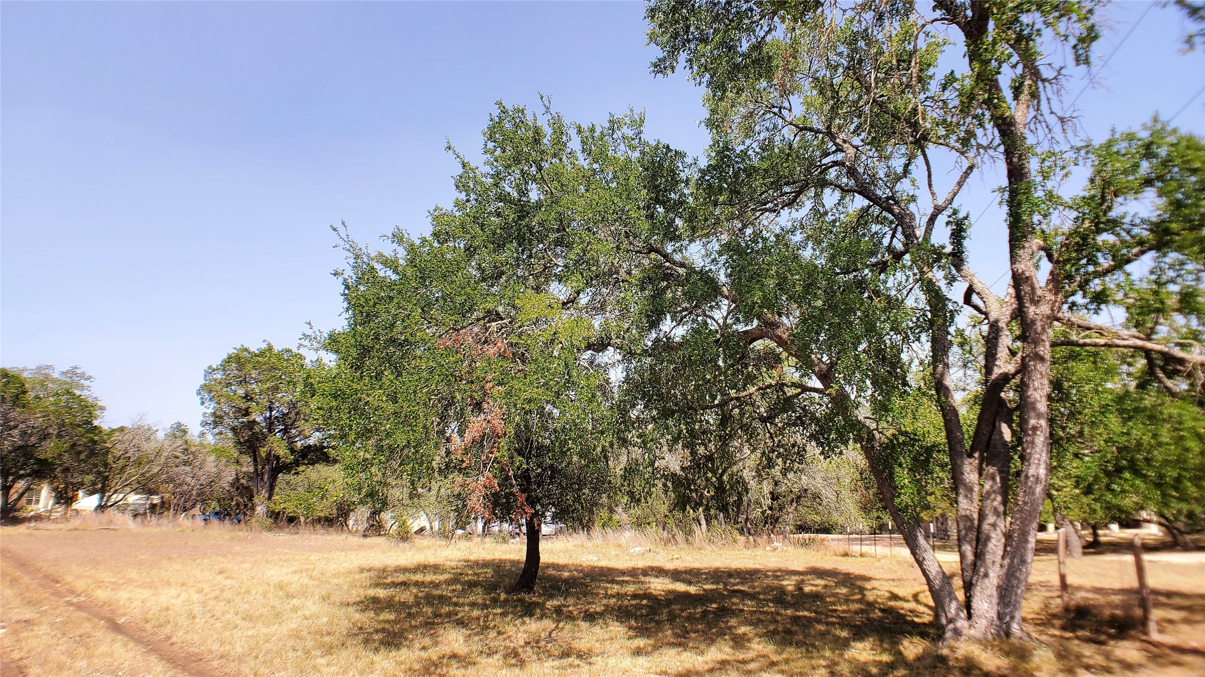 a view of a yard with trees