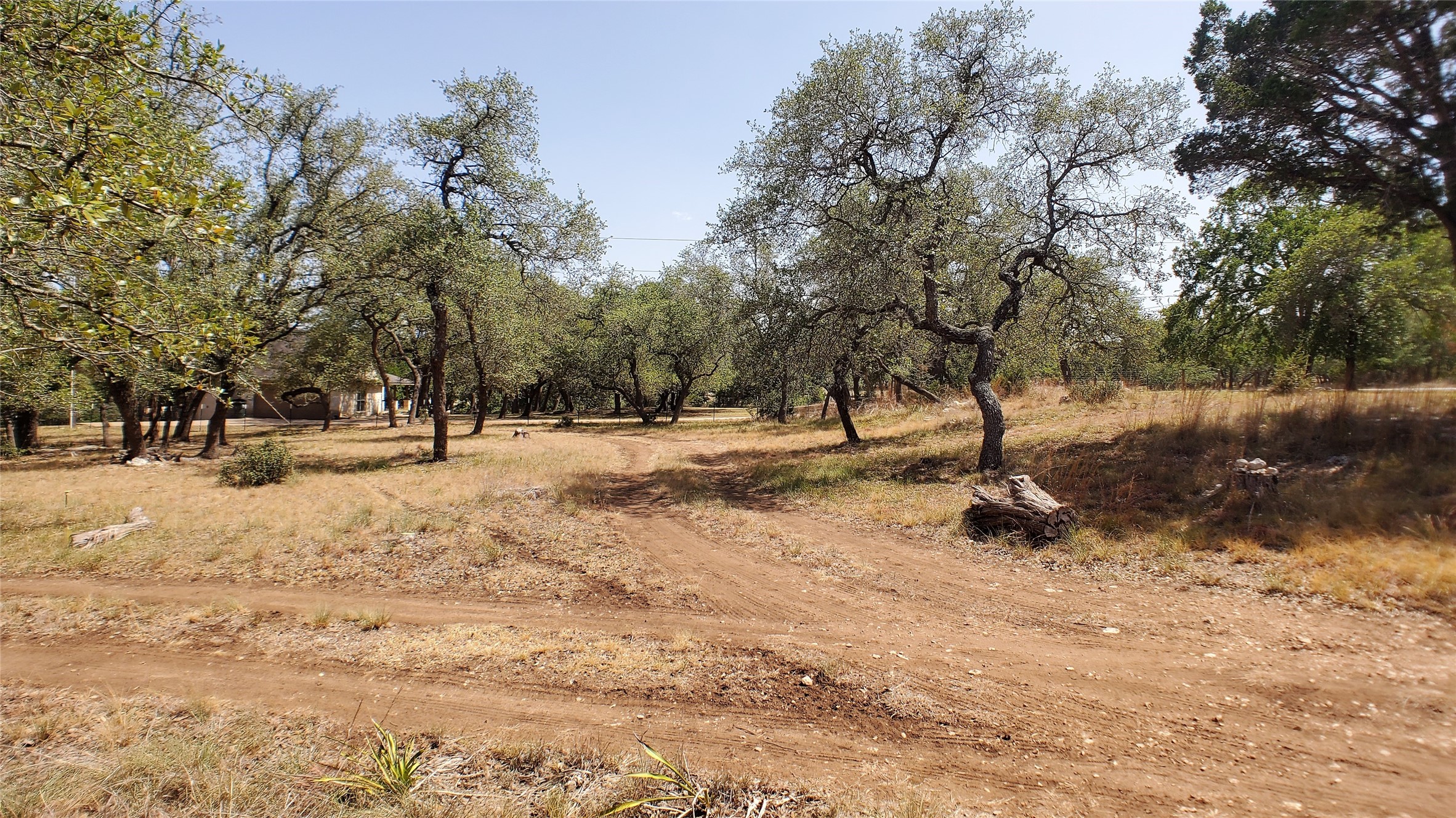 650 Beauchamp Road Dripping Springs, TX 78620 - Photo 4 of 12 a view of road with trees