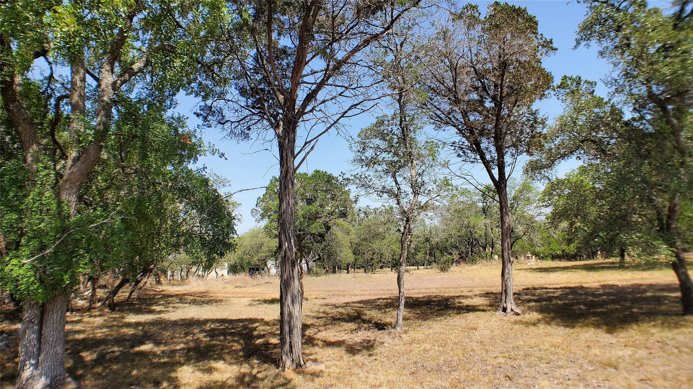 650 Beauchamp Road Dripping Springs, TX 78620 - Photo 5 of 12 a street view covered with trees