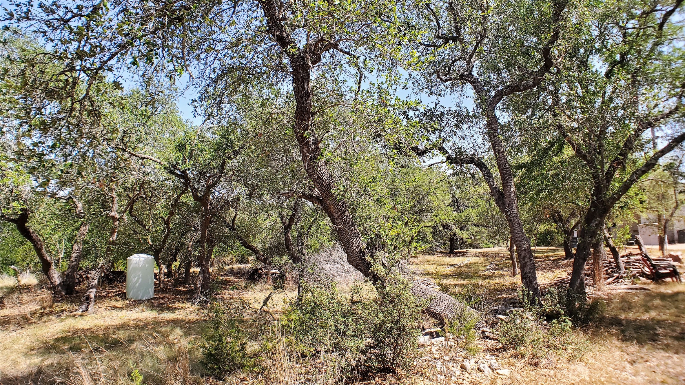 650 Beauchamp Road Dripping Springs, TX 78620 - Photo 7 of 12 a view of outdoor space with trees