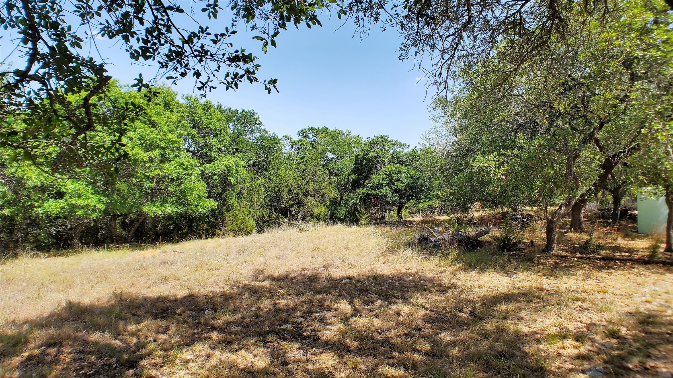 650 Beauchamp Road Dripping Springs, TX 78620 - Photo 8 of 12 a view of dirt yard with a tree