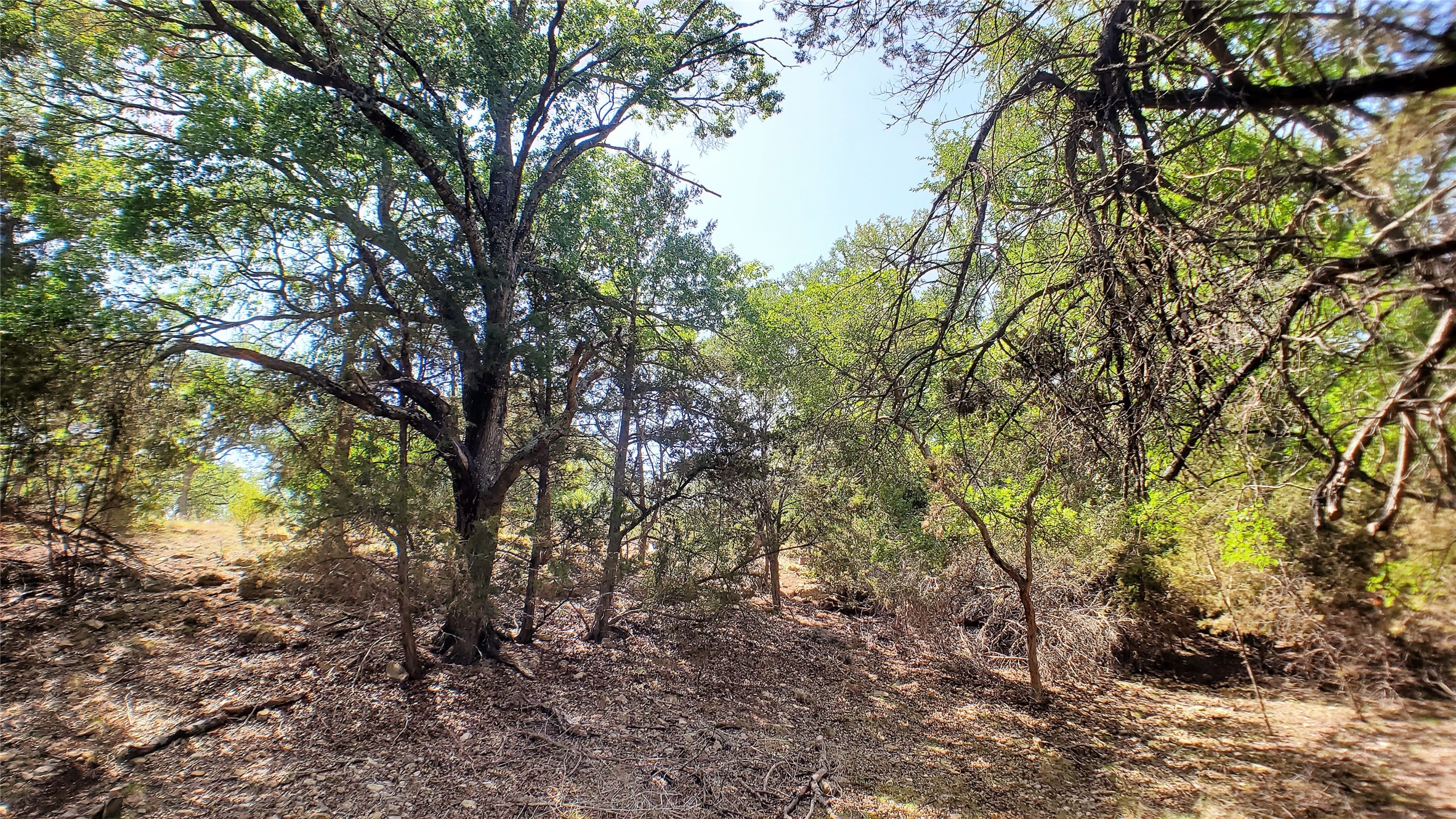 650 Beauchamp Road Dripping Springs, TX 78620 - Photo 10 of 12