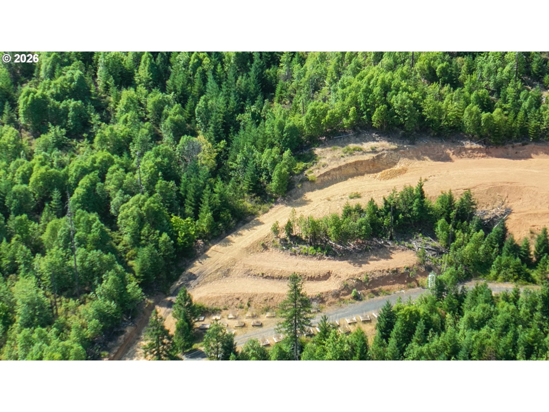 116 Crooks Creek Road Selma, OR 97538 - Photo 11 of 20 a open area with lots of trees