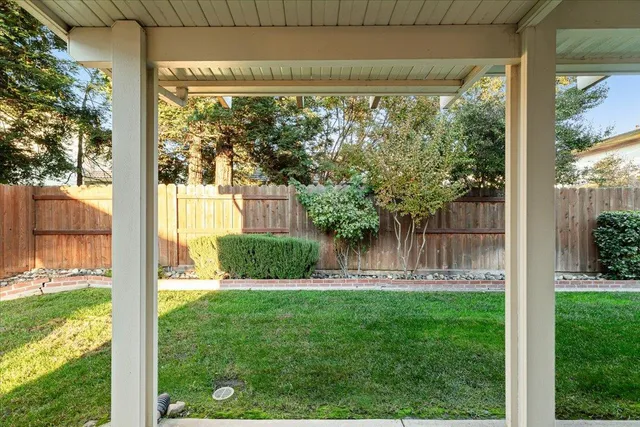 a view of backyard with garden and plants
