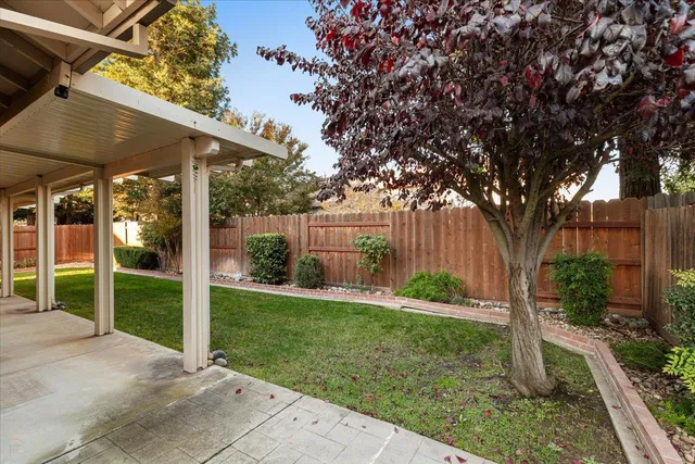 a view of a house with backyard and a tree