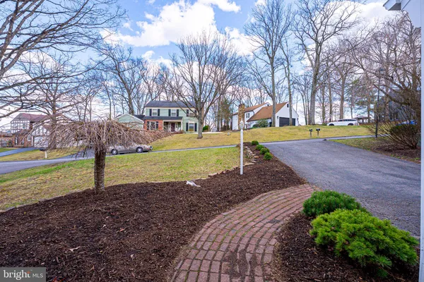 a view of a garden with trees