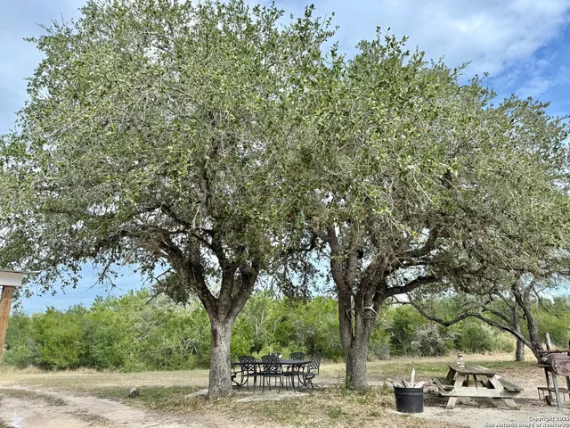 a view of road with trees