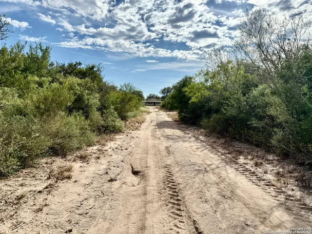a view of a yard with trees in front of it