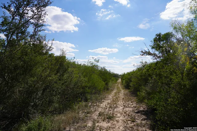 a view of a big yard with lots of green space and mountain view