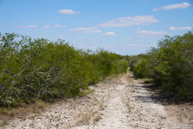 a view of a pathway both side of yard