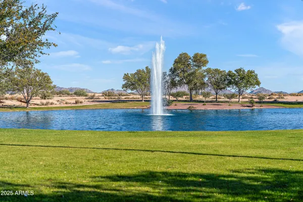 a view of a swimming pool with a slide