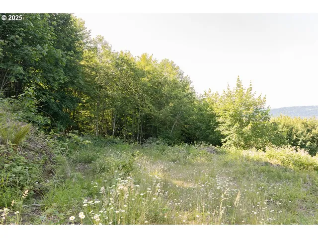 $240,000 | Undisclosed Address, Rainier, OR 97048