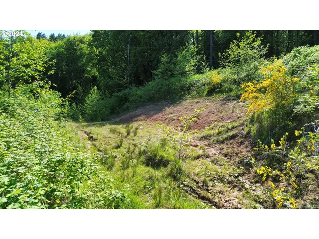 $240,000 | Undisclosed Address, Rainier, OR 97048