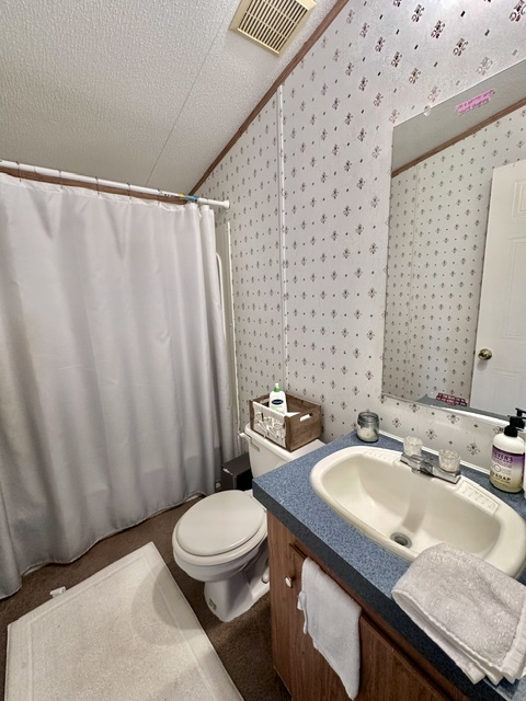 106 Ramirez Street Kyle, TX 78640 - Photo 14 of 19 A compact bath features a blue countertop vanity and shower.