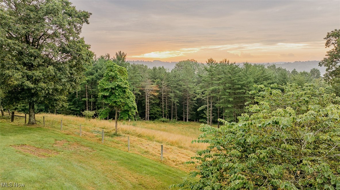 82755 Laughlin Road Tippecanoe, OH 44699 - Photo 11 of 35 View of yard featuring a view of trees