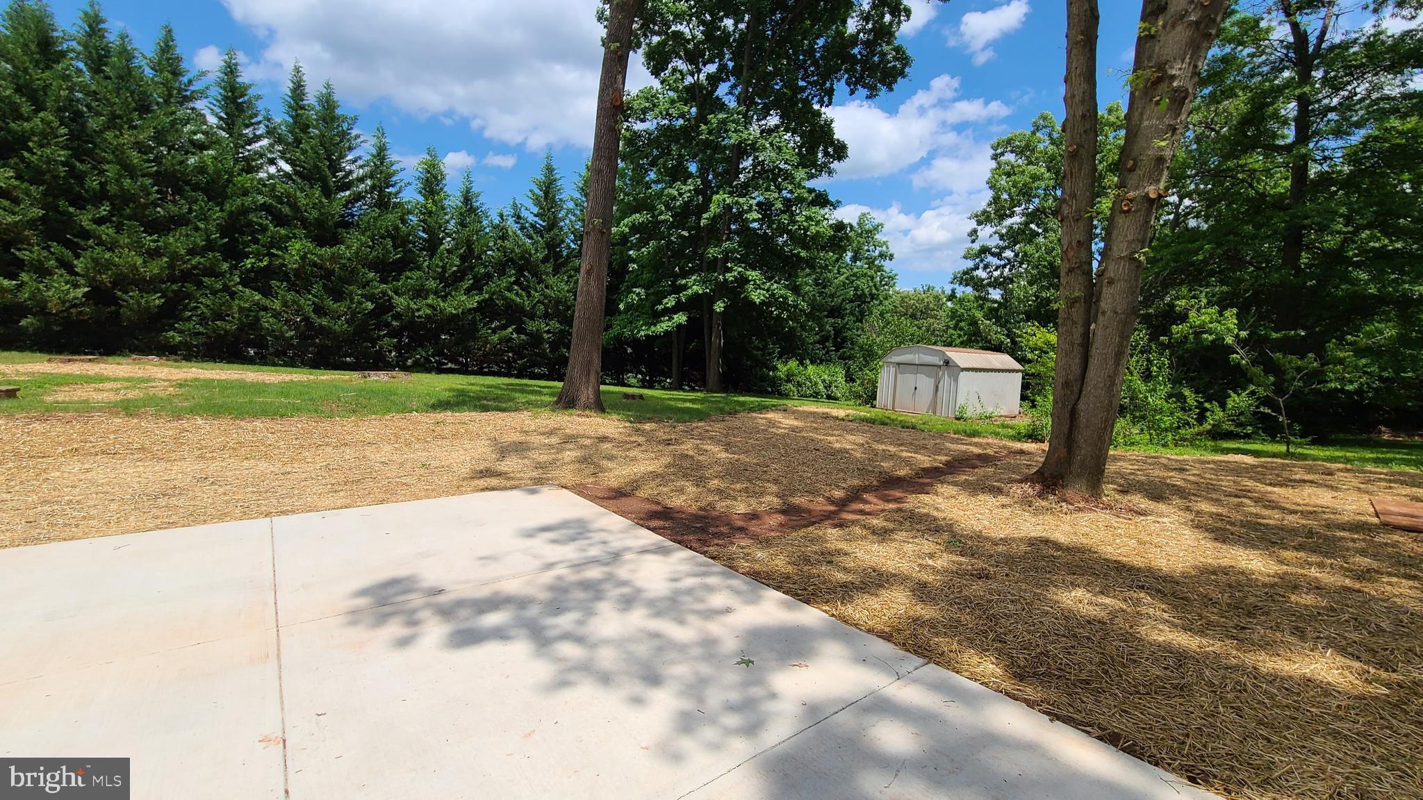 7 Cedar Drive Sterling, VA 20164 - Photo 35 of 40 a view of a yard with plants and trees