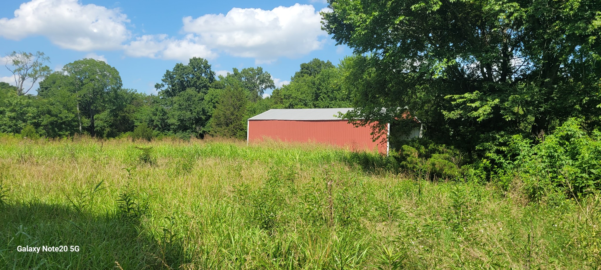 2 Clem Creek Road Chapel Hill, TN 37034 - Photo 7 of 9