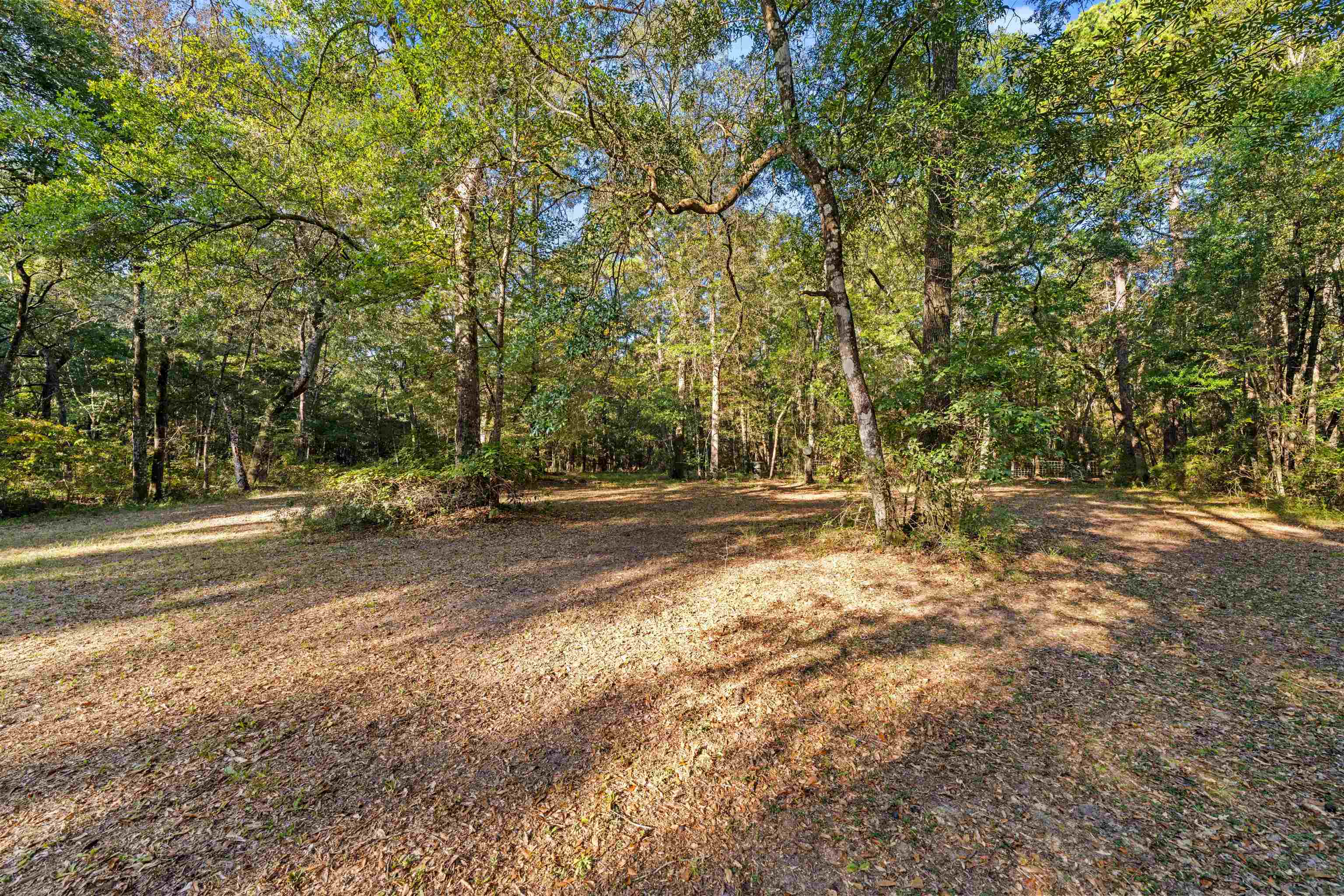 340 St Angelo Road Tallahassee, FL 32312 - Photo 13 of 46 Gallery Image 13