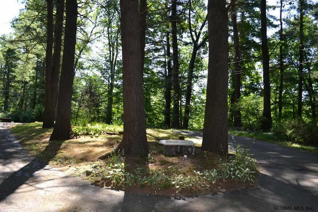 4 Pine Ridge Drive Guilderland, NY 12084 - Photo 3 of 24 Photo 3