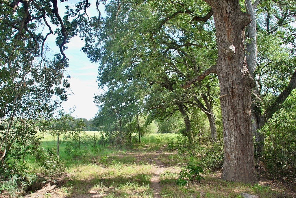 9590 Maynard Hallmark Road Flatonia, TX 78941 - Photo 27 of 31