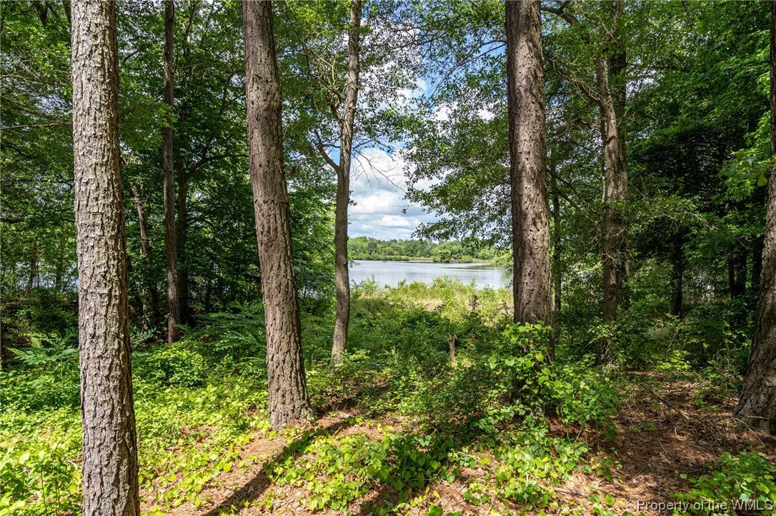 9313 South Courthouse Road Providence Forge, VA 23140 - Photo 6 of 35 Gallery Image 6