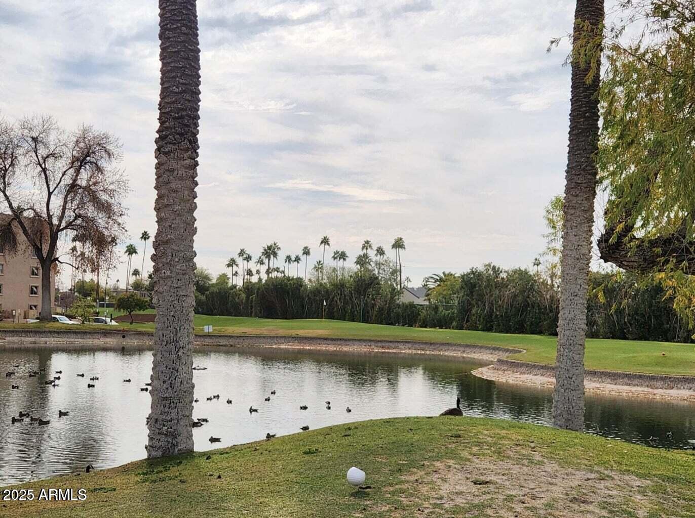 7940 East Camelback Road, Unit 605 Scottsdale, AZ 85251 - Photo 30 of 35 a view of a water pond with yard and large trees