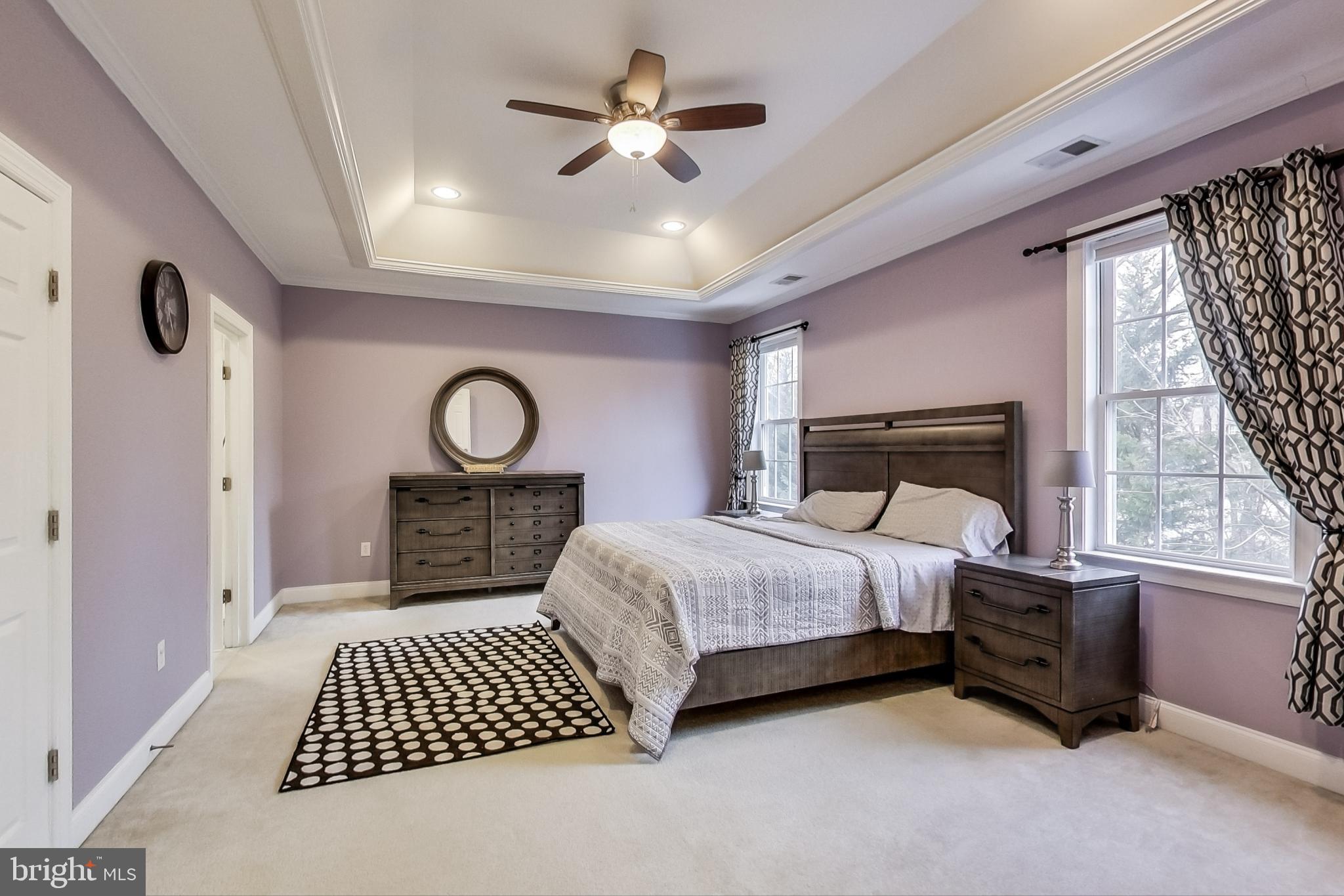 9092 Tiber Ridge Court Ellicott City, MD 21042 - Photo 20 of 52 Master Bedroom w/tray ceiling