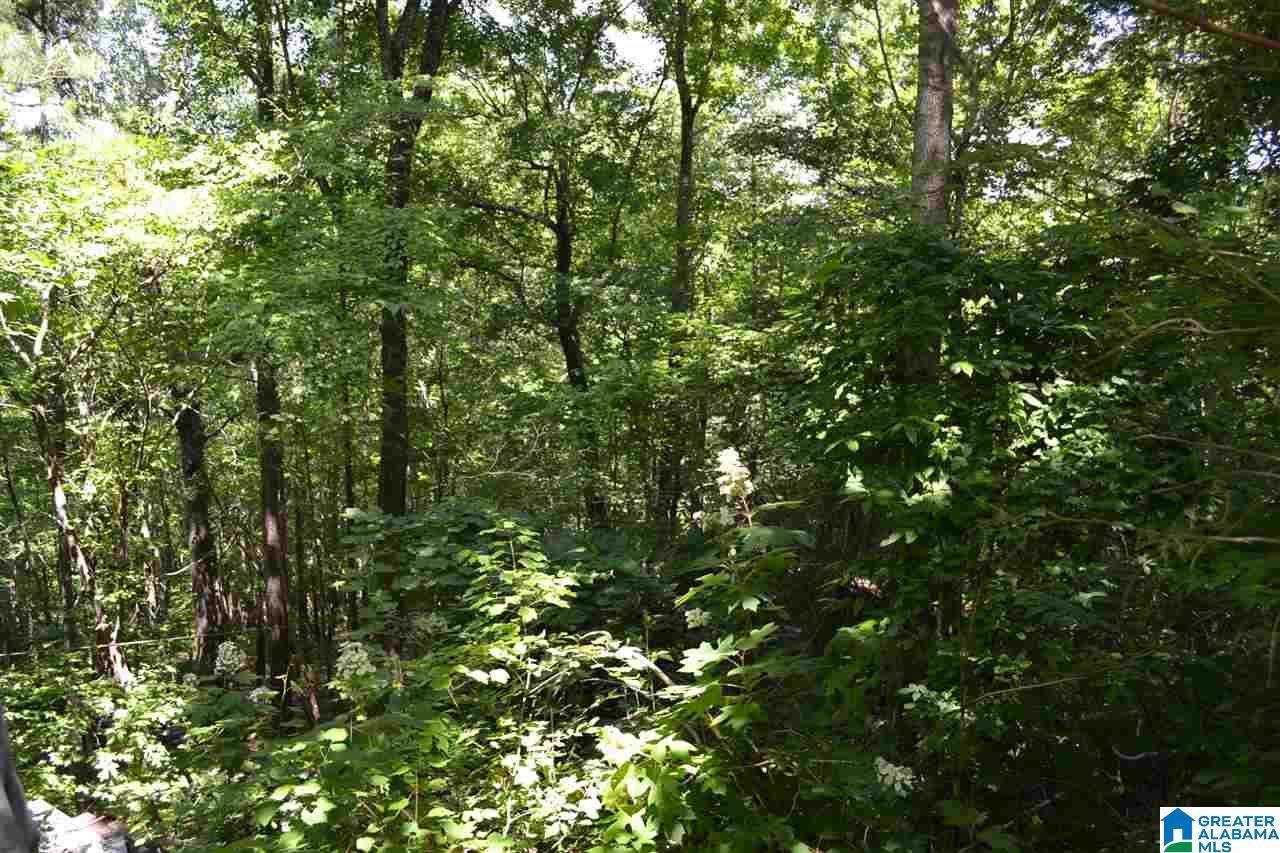 357 Valley Grove Road Remlap, AL 35133 - Photo 33 of 40