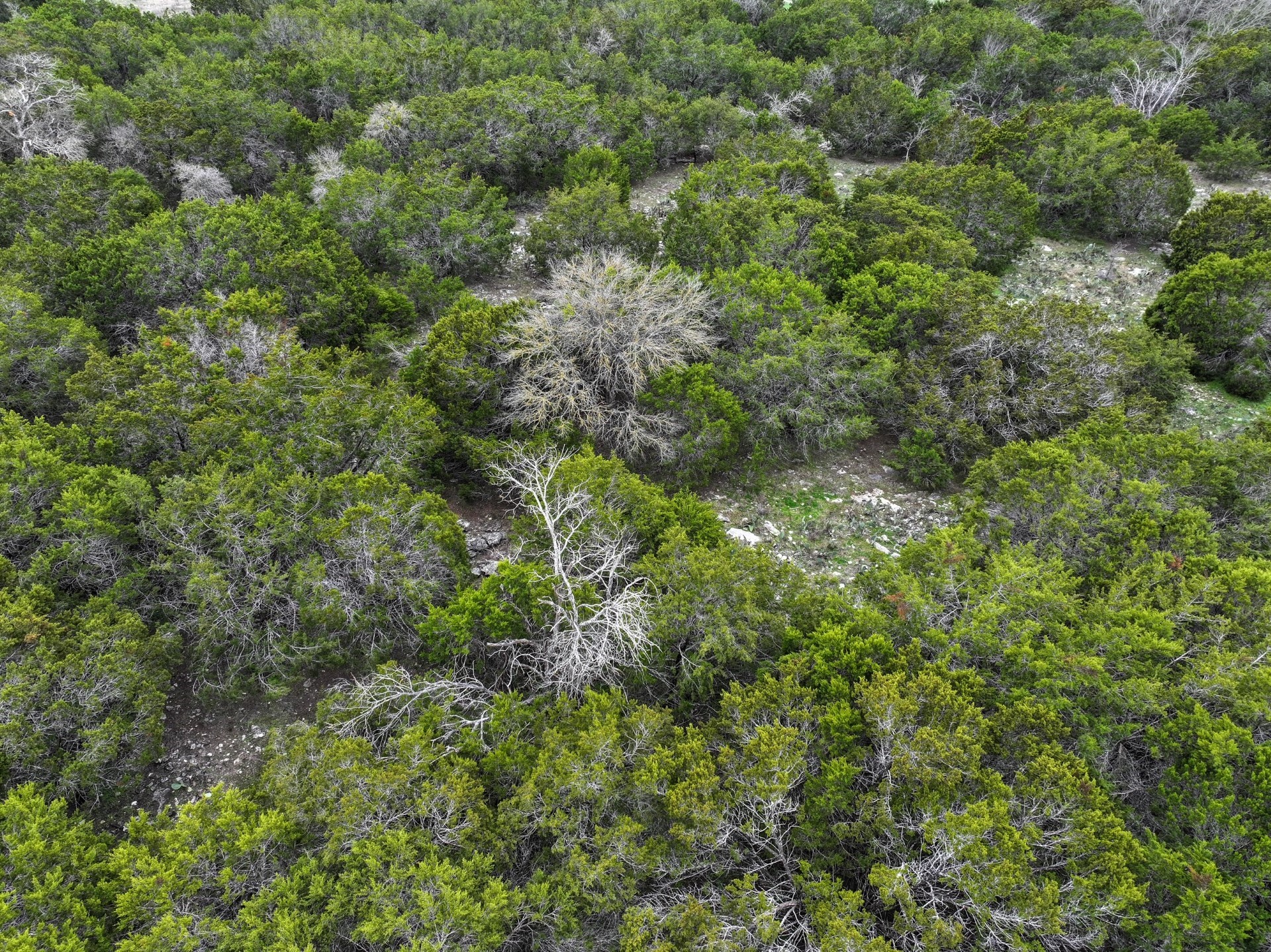 0 Rocky Ridge Drive Burnet, TX 78611 - Photo 11 of 17