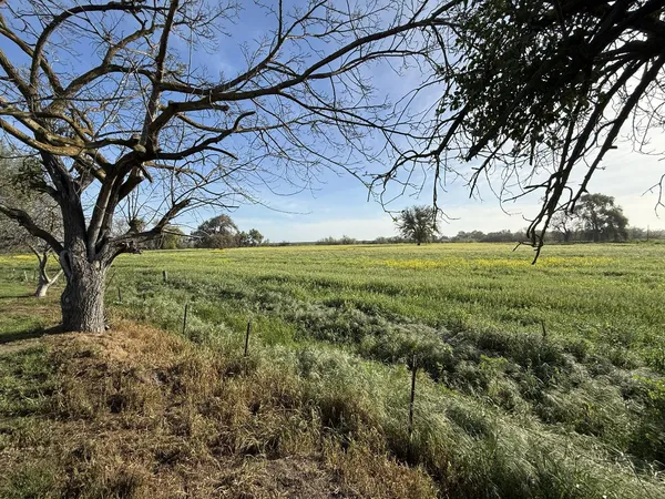 $1,495,000 | 16400 Ash Avenue, Patterson, CA 95363