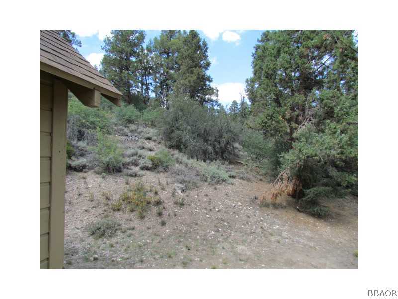 21 Holcomb Valley Road Big Bear Lake, CA 92315 - Photo 17 of 25 a view of a dry yard with trees