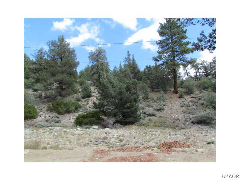 21 Holcomb Valley Road Big Bear Lake, CA 92315 - Photo 20 of 25 a view of a yard