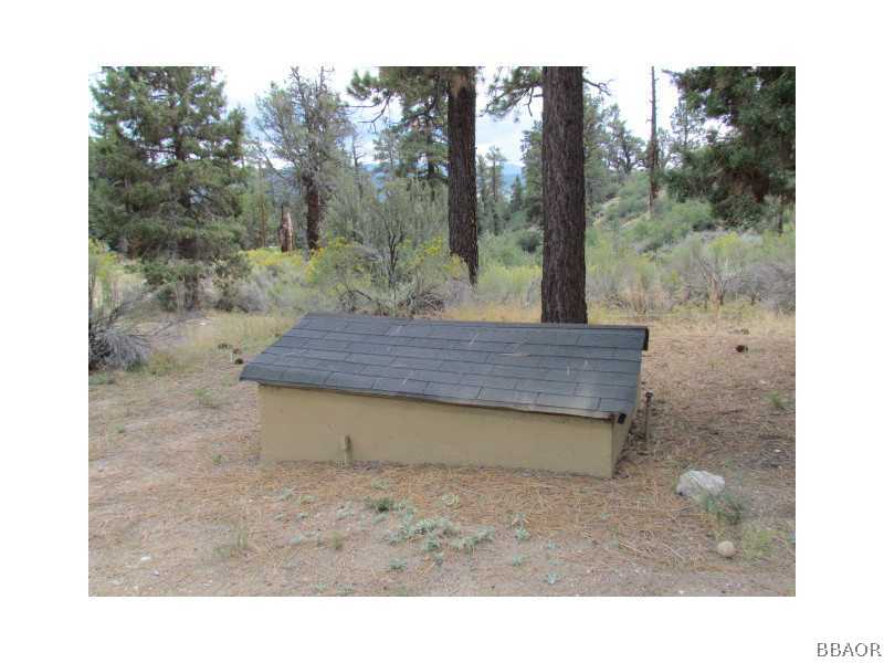 21 Holcomb Valley Road Big Bear Lake, CA 92315 - Photo 22 of 25 a view of a backyard with trees