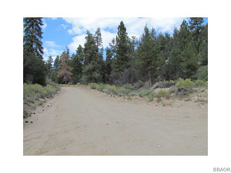 21 Holcomb Valley Road Big Bear Lake, CA 92315 - Photo 24 of 25 a view of a dry yard with trees in the background