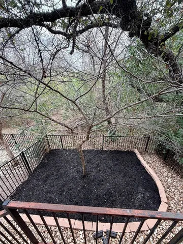 a view of a yard with large trees