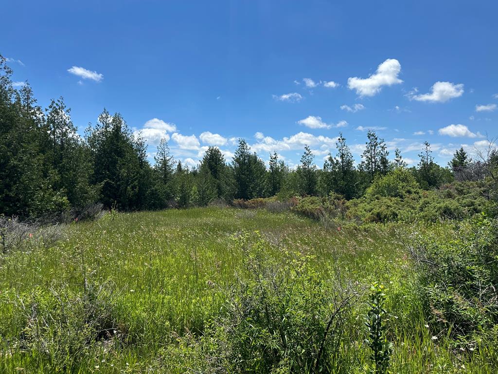 Lot #4 Grove Road Sister Bay, WI 54234 - Photo 1 of 2 Main View