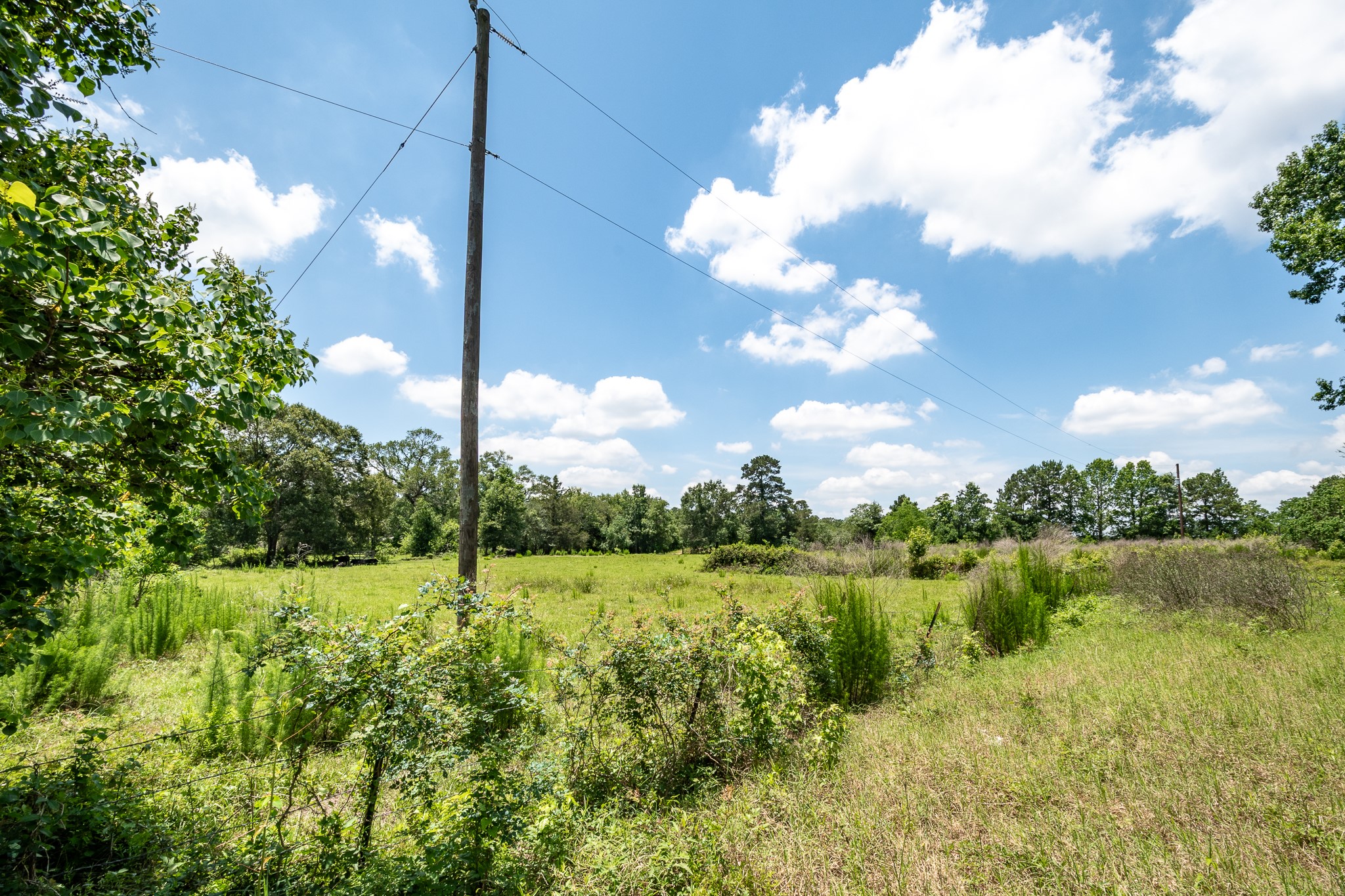 0 Fm 1485 Road Conroe, TX 77306 - Photo 11 of 11