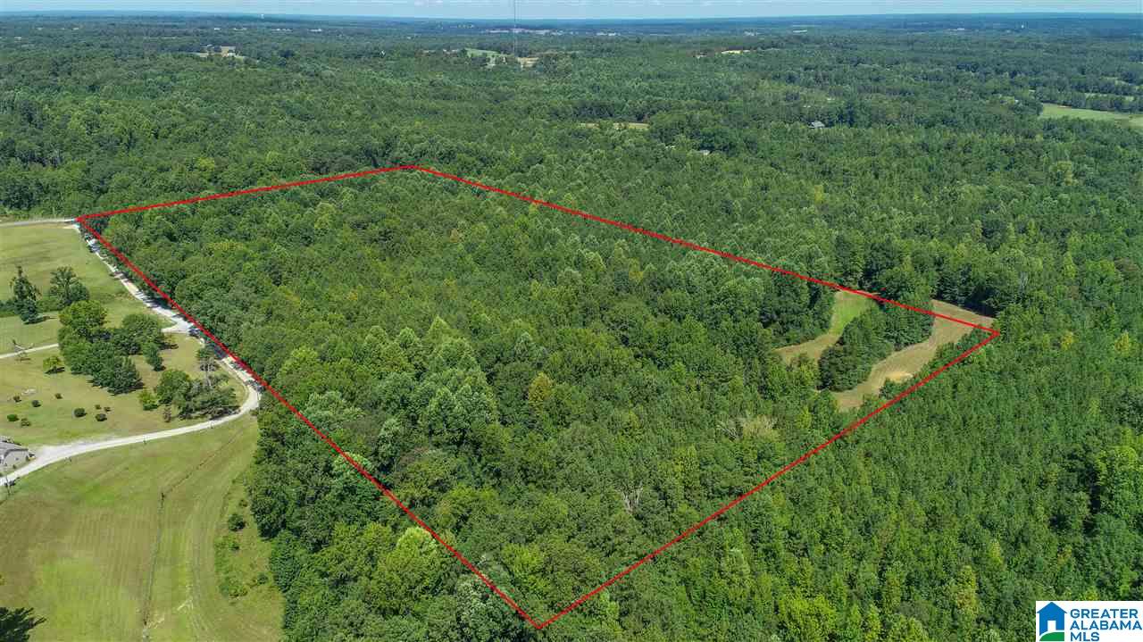3443 County Road 69, Unit 2 Clanton, AL 35045 - Photo 2 of 8