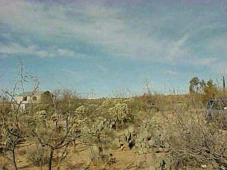 5324 East Edwin Road Tucson, AZ 85739 - Photo 2 of 5